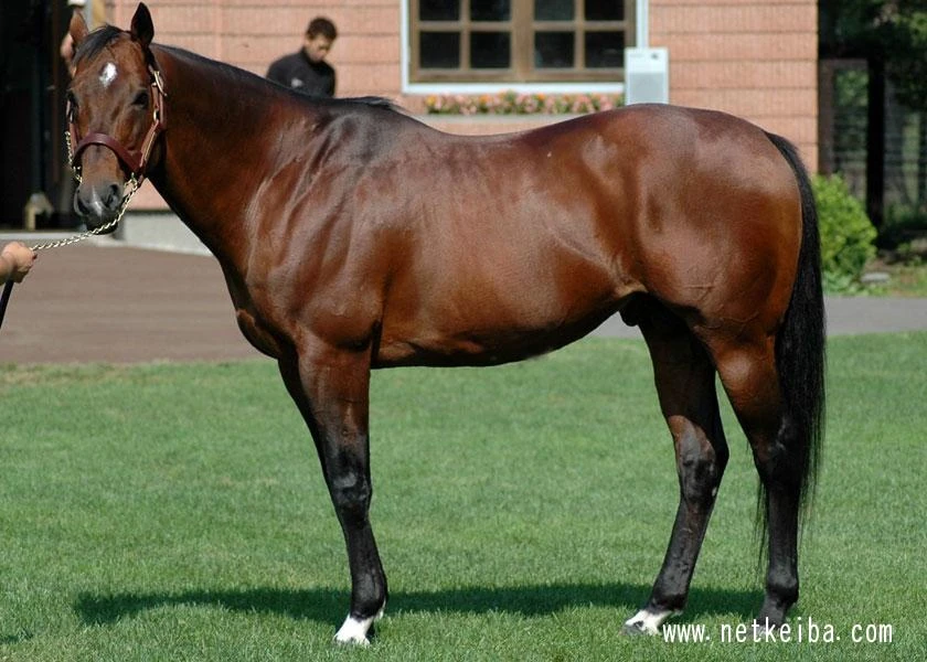 IRL Sakura Bakushin O